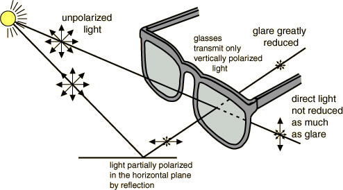 Polarized Lens Technology